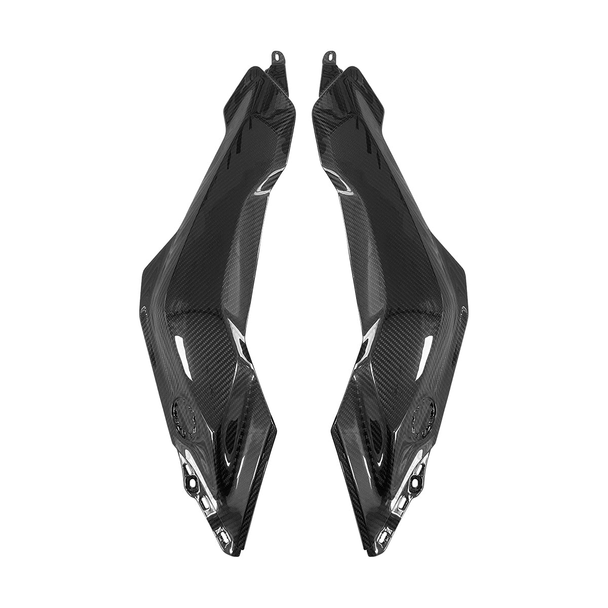 2023-2025 BMW R1300GS Dry Carbon Fiber Motorcycle Front Body Side Fairing