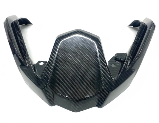 Create Carbon Dry Carbon Fiber Front Nose Extension for BMW R1200GS / R1250GS